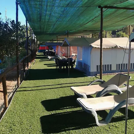 Camping The Place *