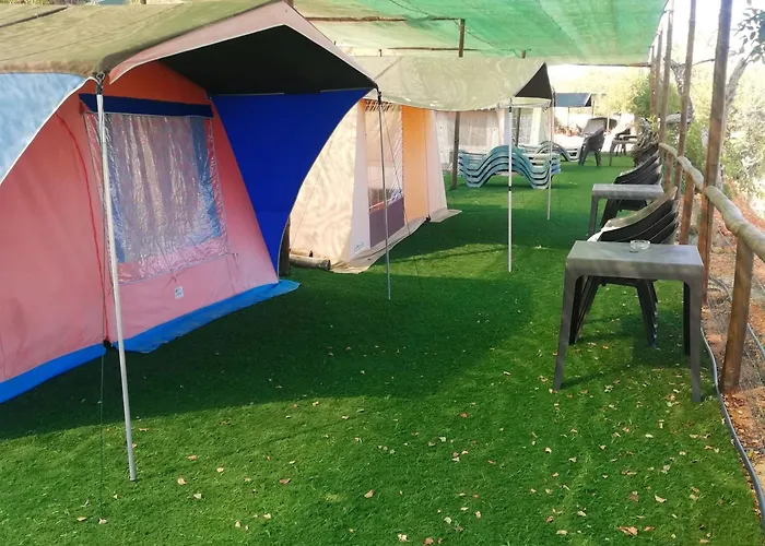 The Place * אלבופיירה